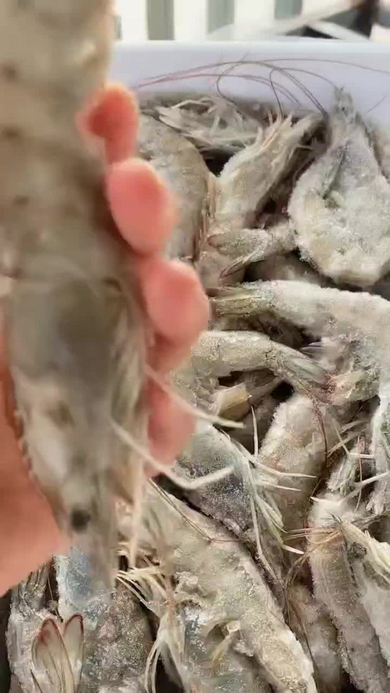 盐冻虾，大虾