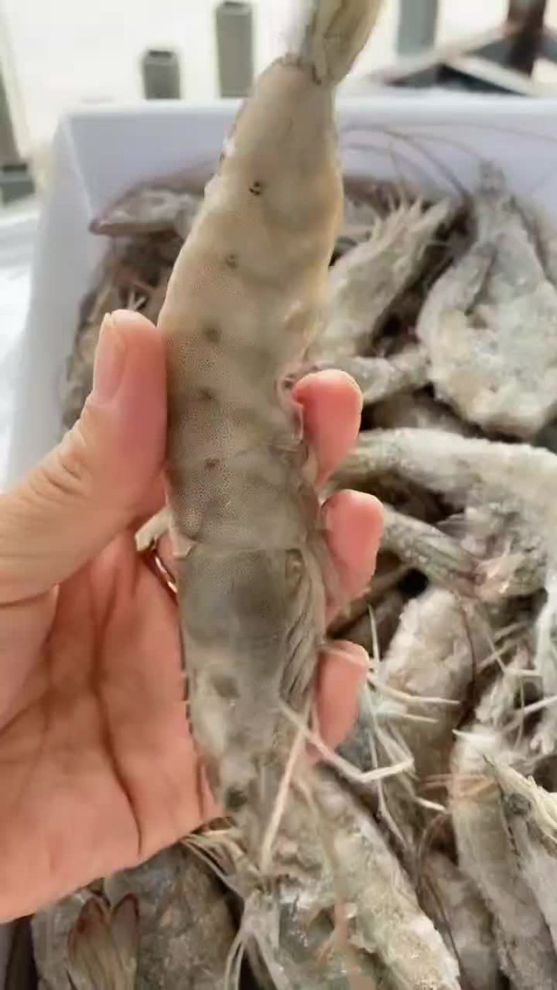 盐冻虾，大虾