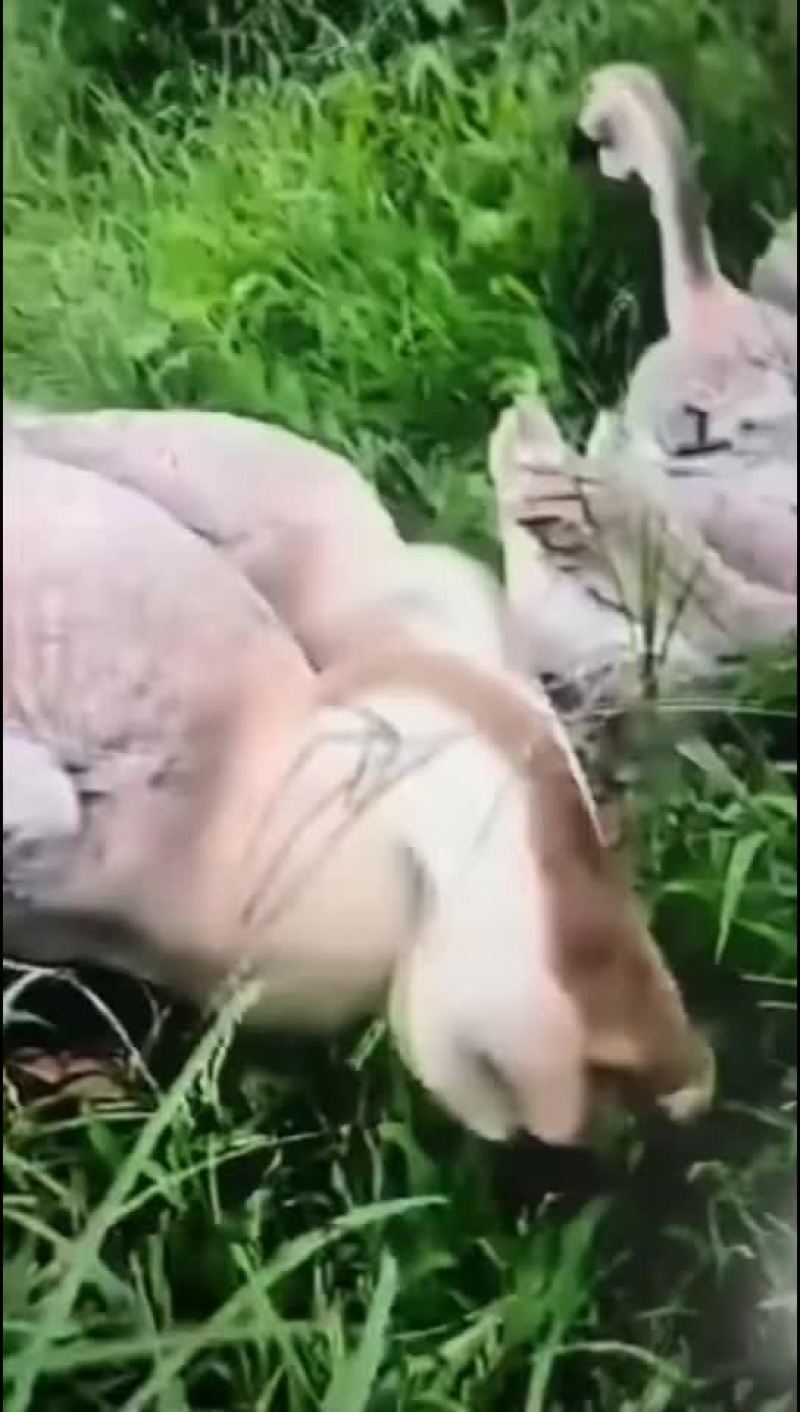 农副产品