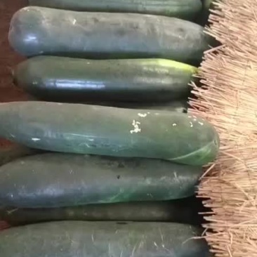 冬瓜