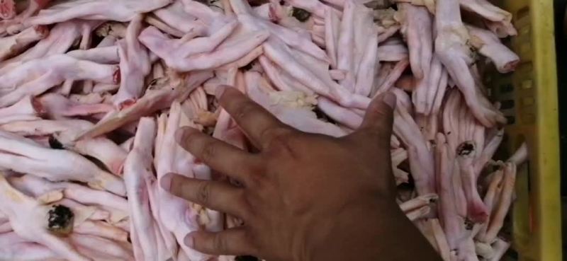 新鲜鸭掌