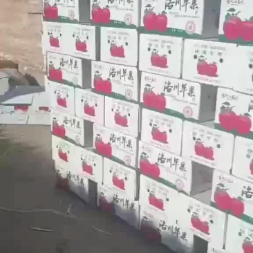 洛川富士