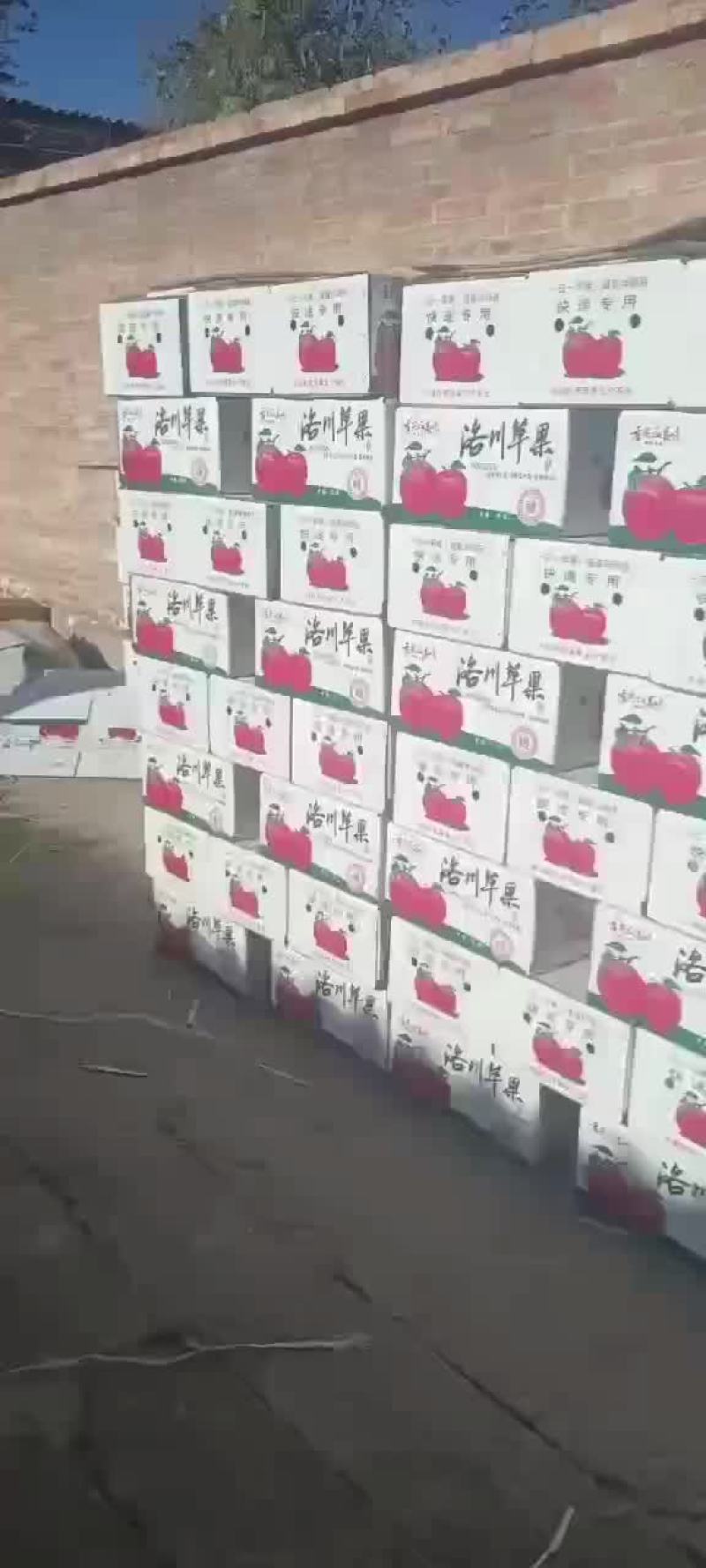 洛川富士