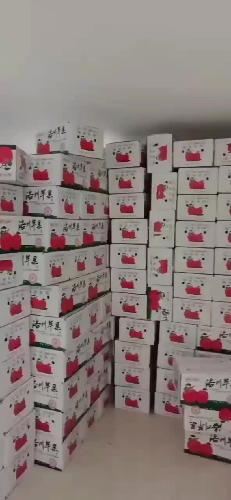 洛川富士