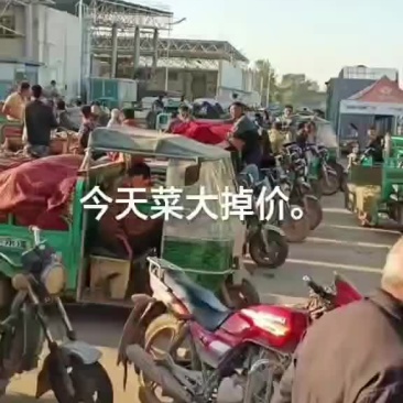 菠菜，丝瓜
