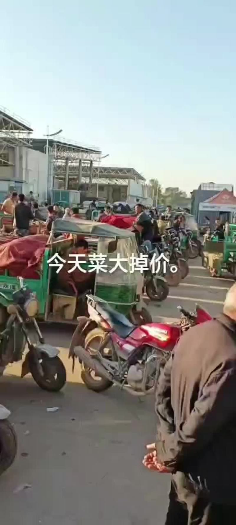 菠菜，丝瓜