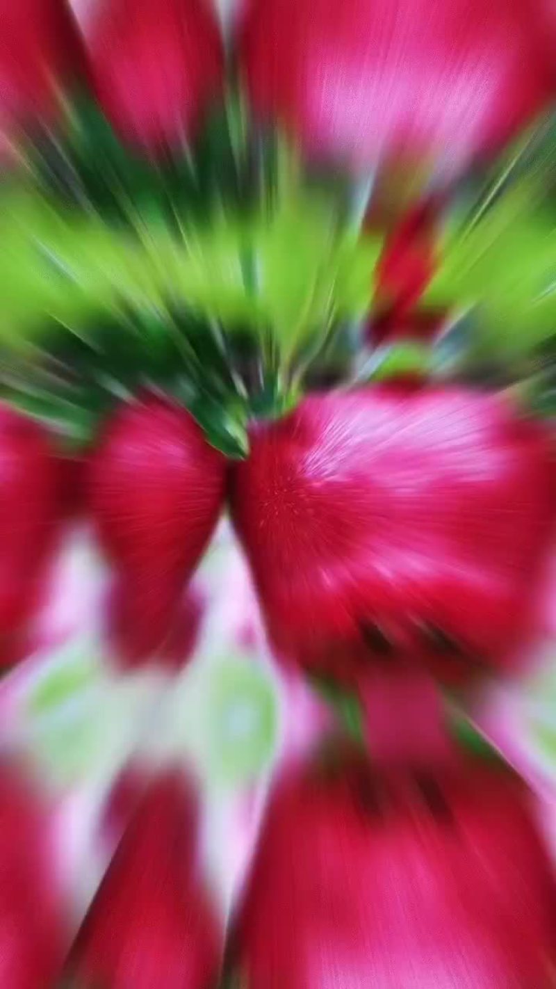 天水花牛