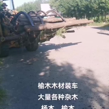 大量出售各种木材木头
