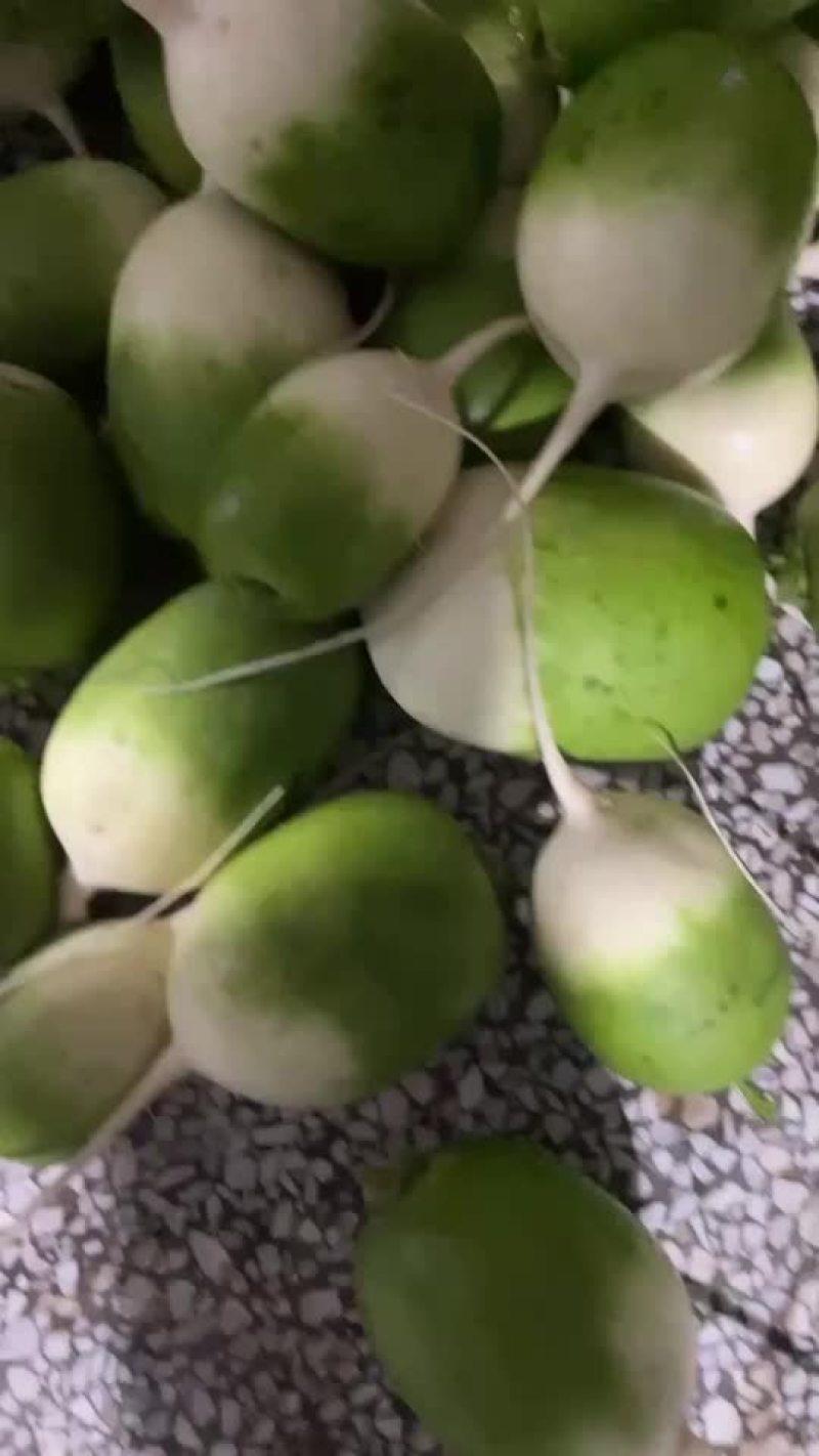 萝卜