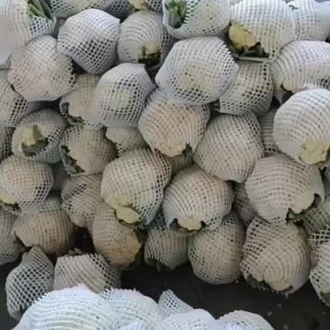 花菜