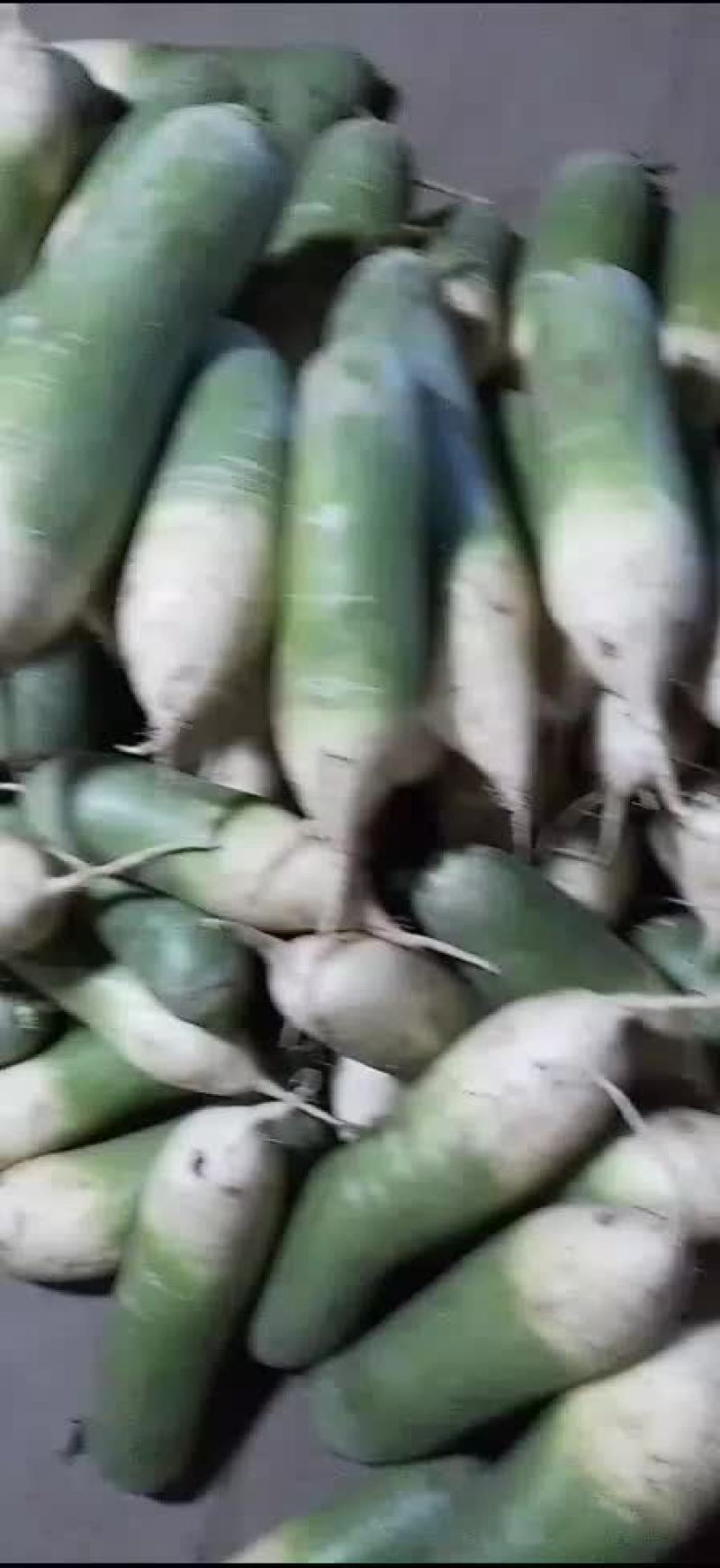 青萝卜