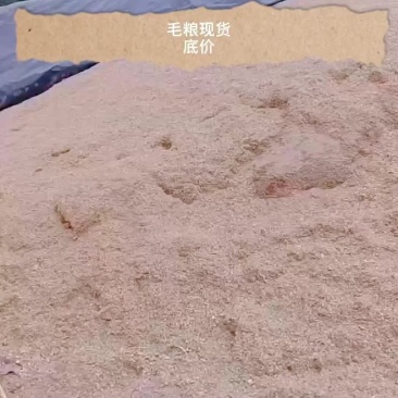 毛粮现货供应