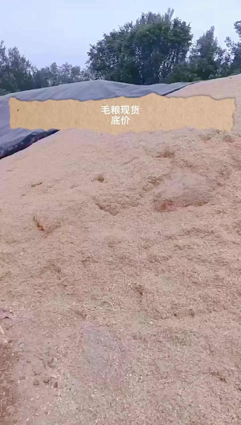 毛粮现货供应