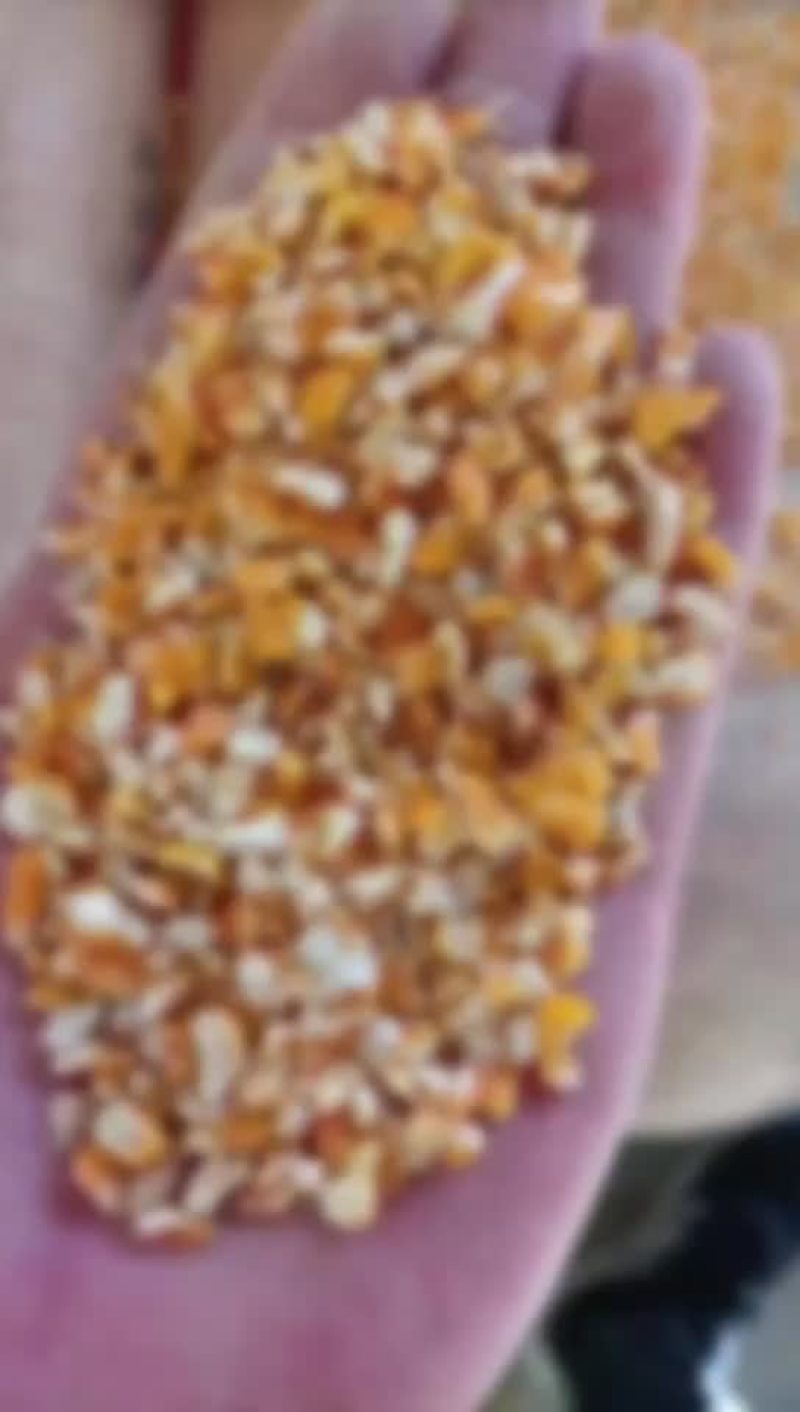 毛粮现货供应