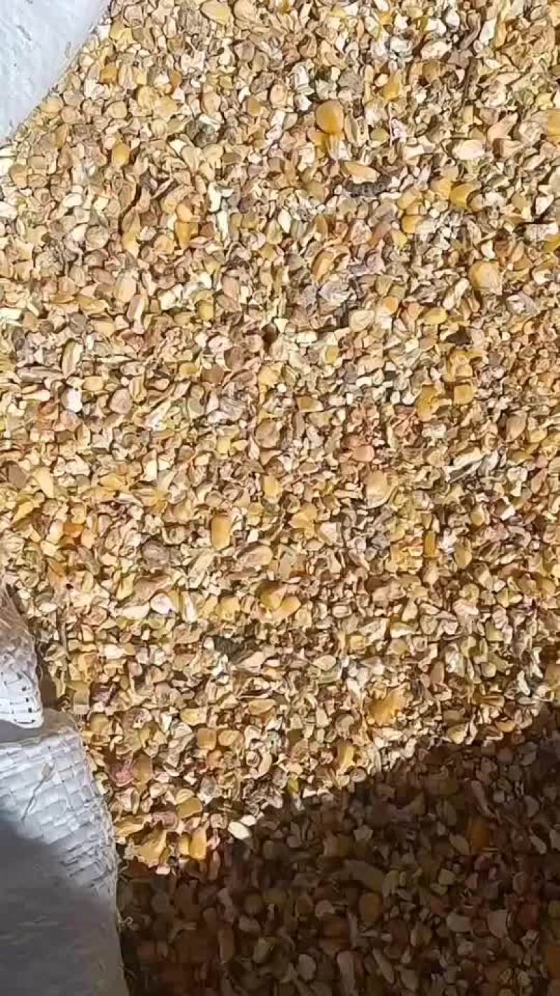 毛粮现货供应