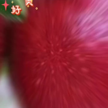 花牛