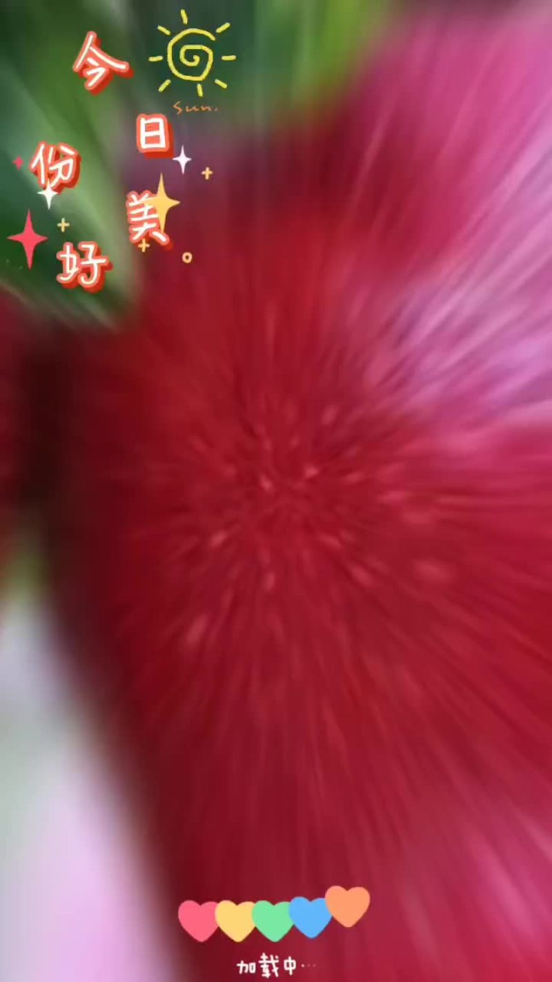 花牛