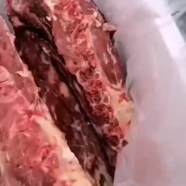 驴脊骨