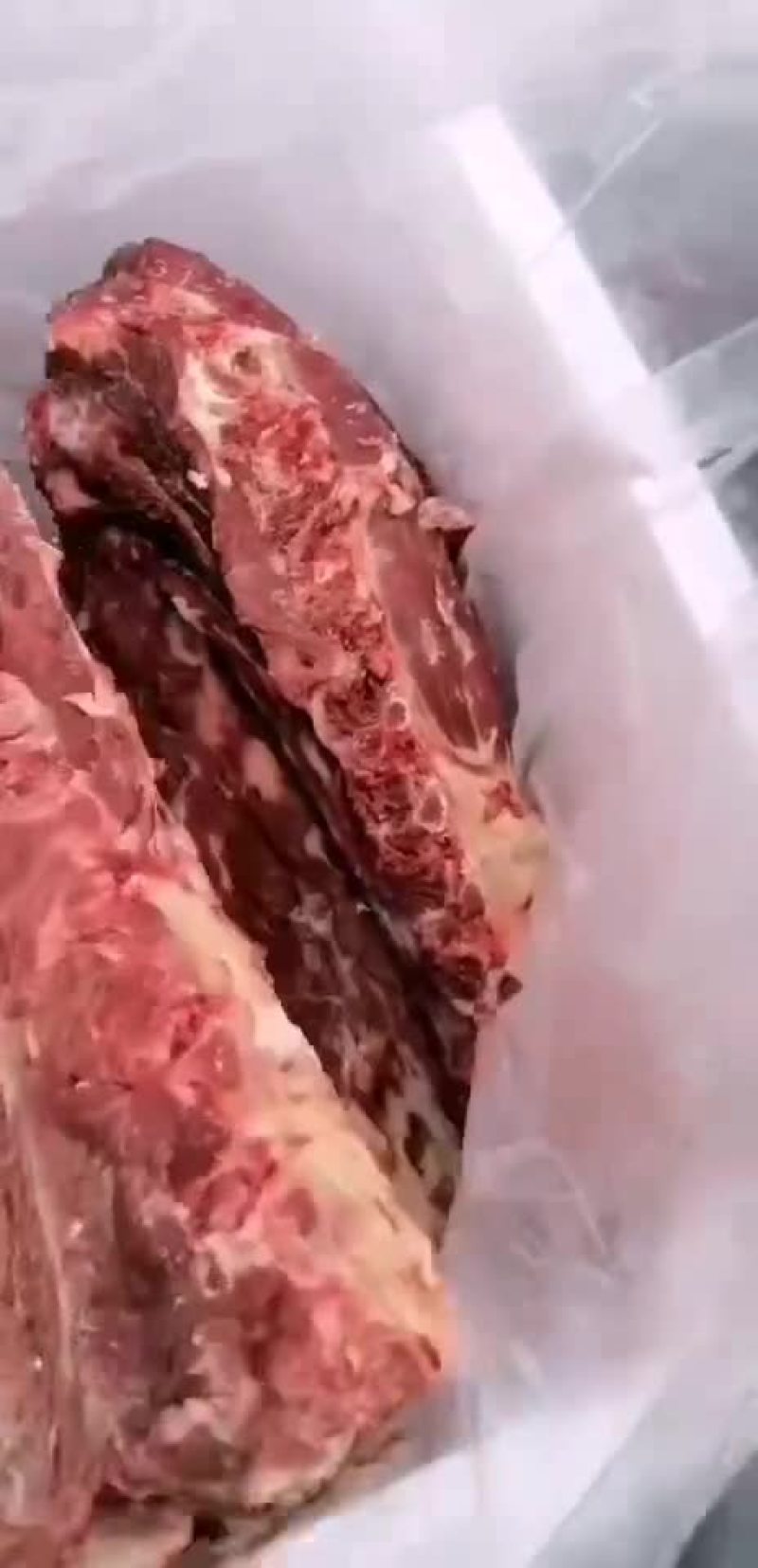 驴脊骨