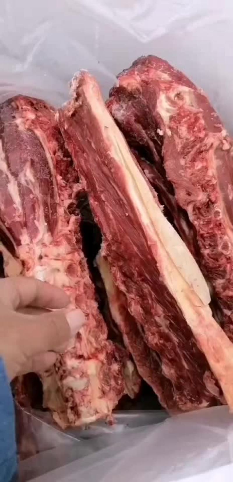 驴脊骨