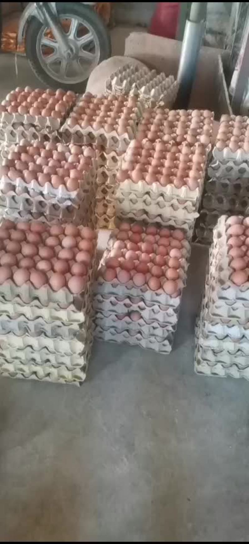 鸡蛋