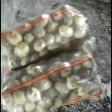 严十三