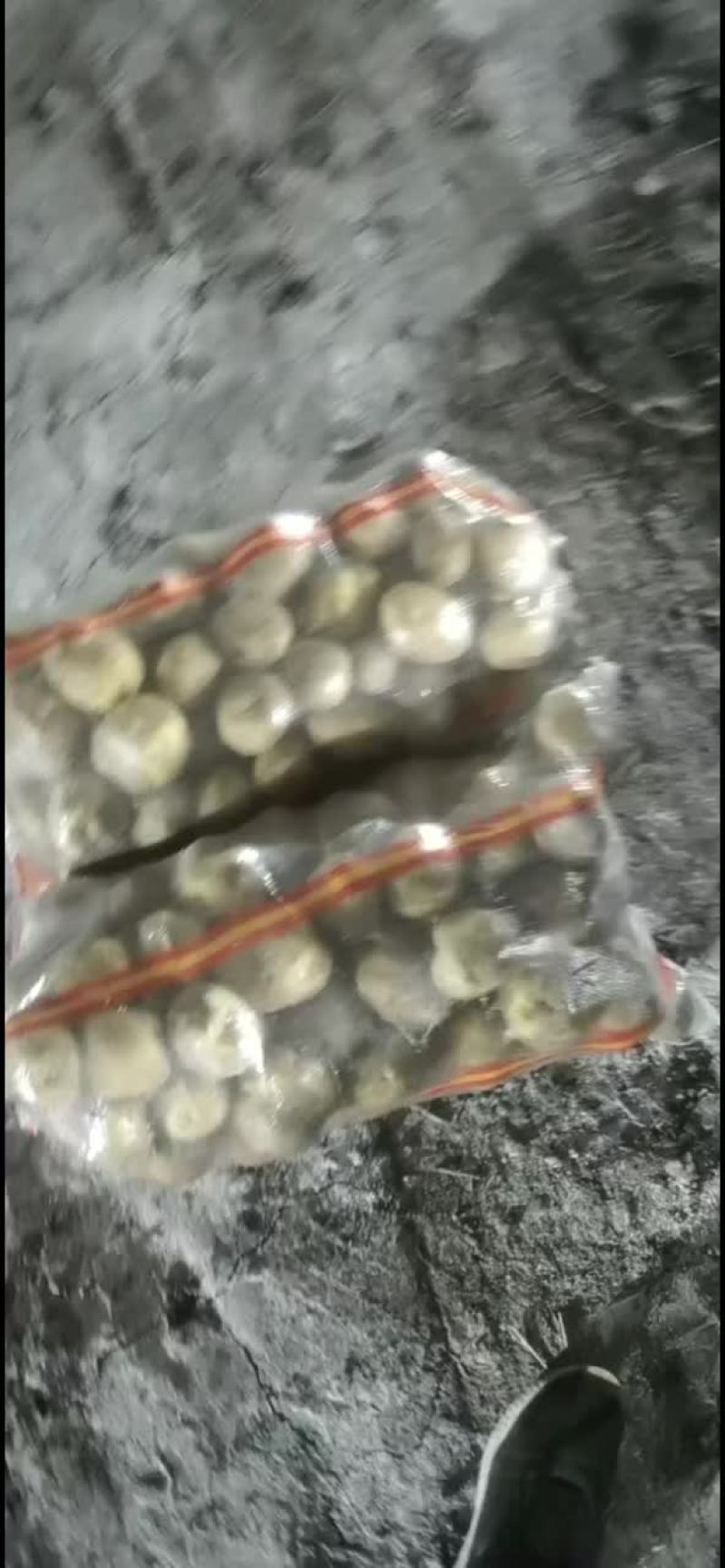 严十三