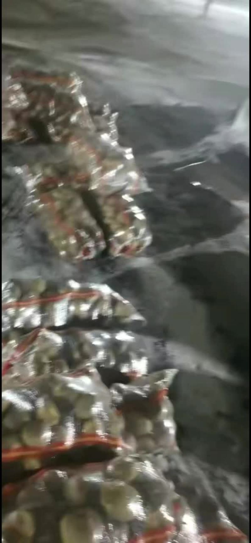 严十三