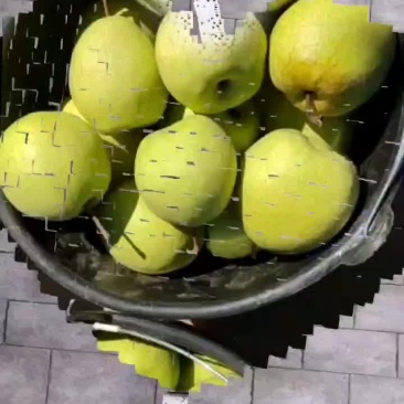 梨