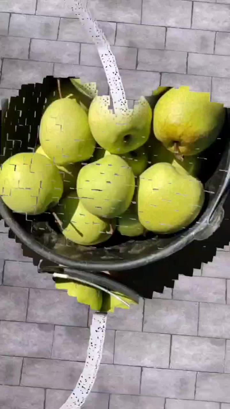 梨