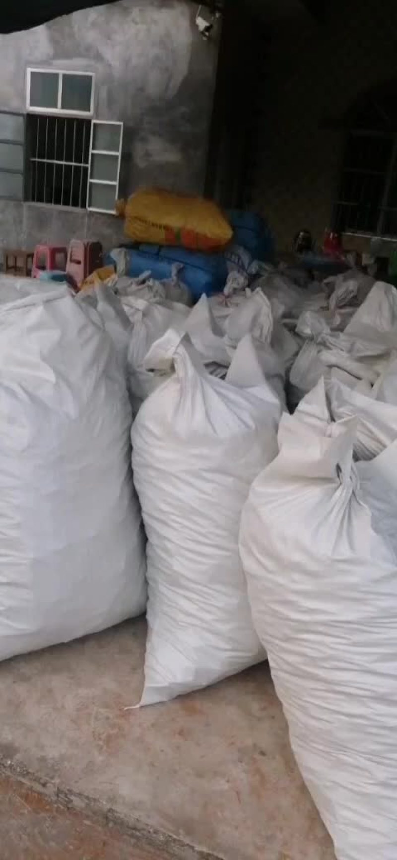 烟仔桂统货