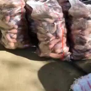 西瓜红