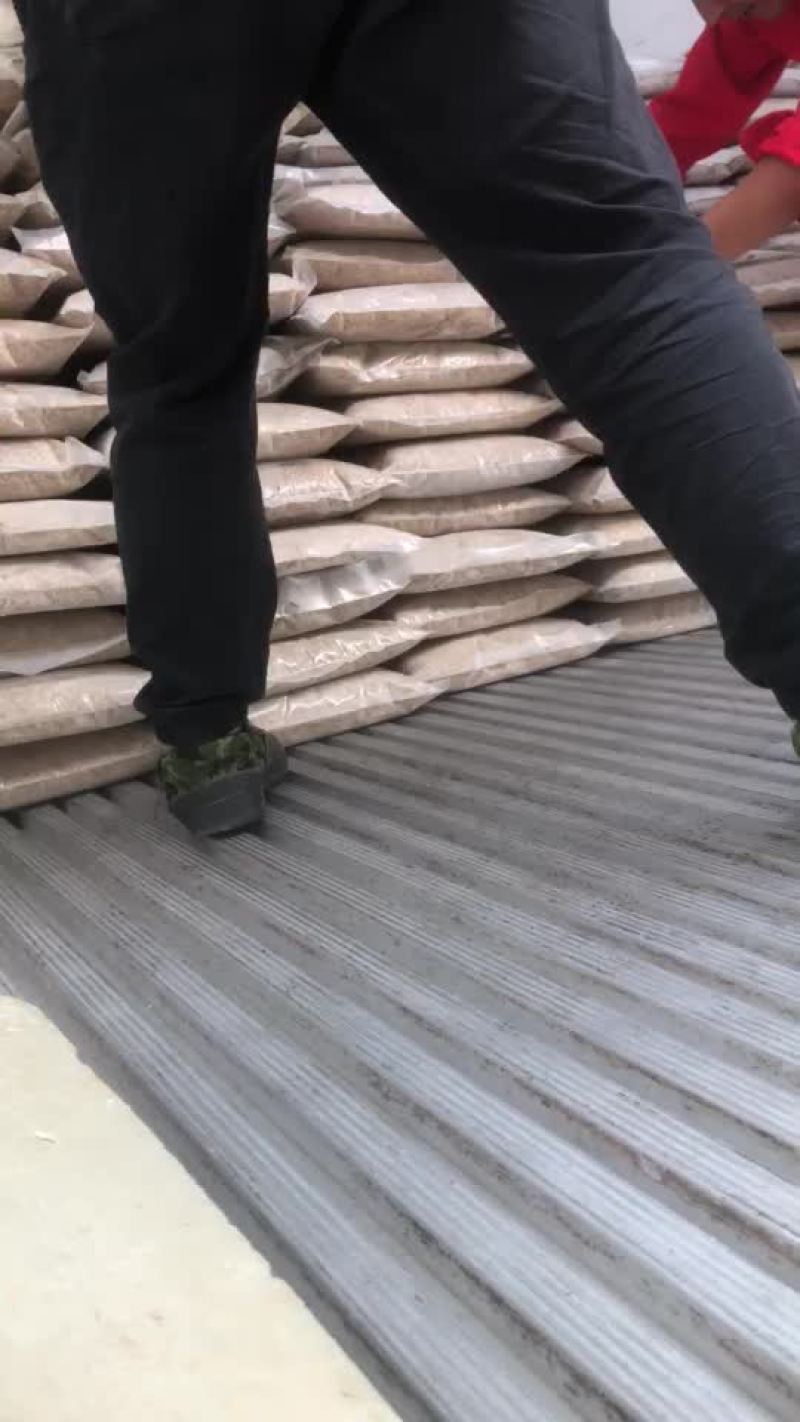 冻干蝇蛆昆虫饵料