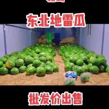东北地雷西瓜1元每斤