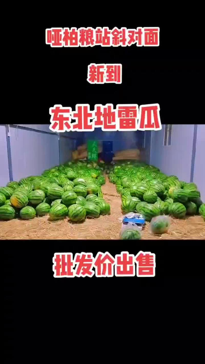 东北地雷西瓜1元每斤