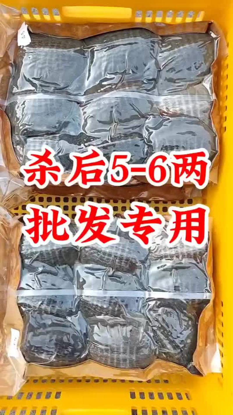 麻辣甲鱼批发，卤甲鱼0.5到一斤规格，量大从优