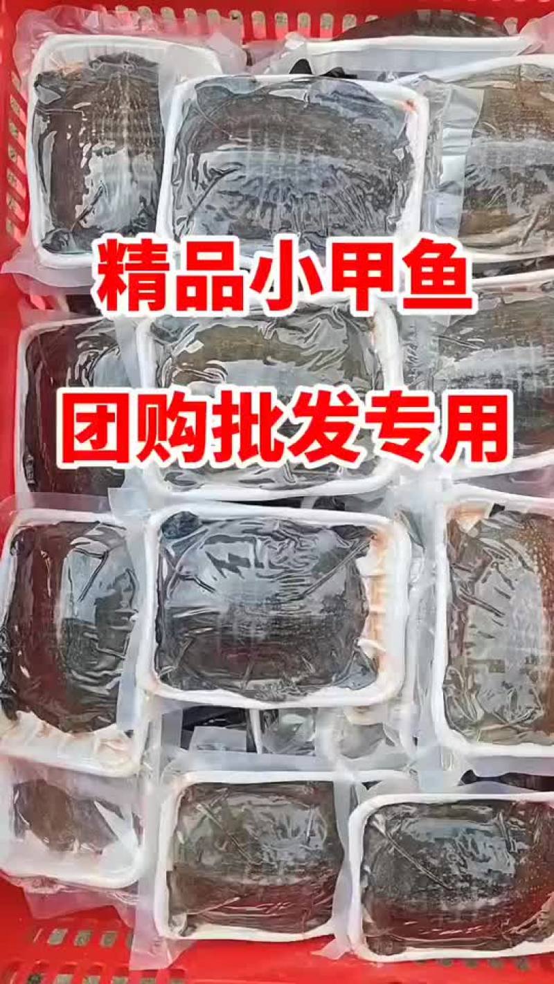 麻辣甲鱼批发，卤甲鱼0.5到一斤规格，量大从优