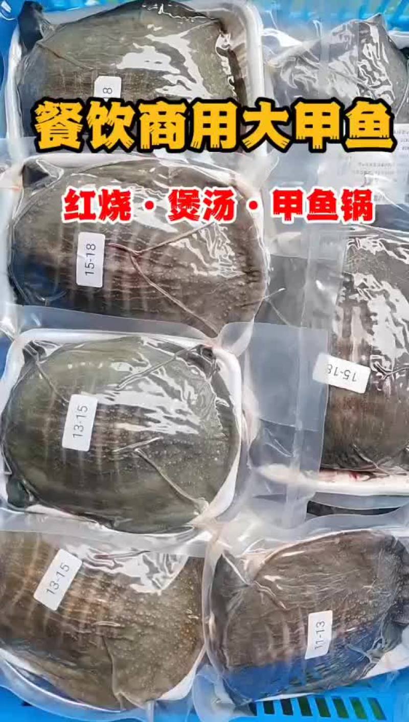麻辣甲鱼批发，卤甲鱼0.5到一斤规格，量大从优