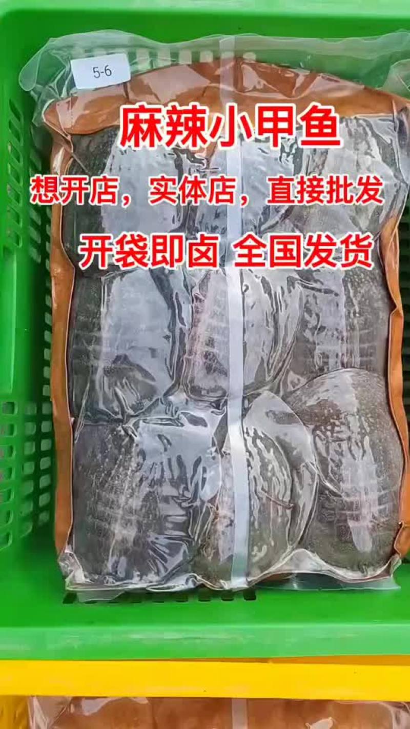 麻辣甲鱼批发，卤甲鱼0.5到一斤规格，量大从优