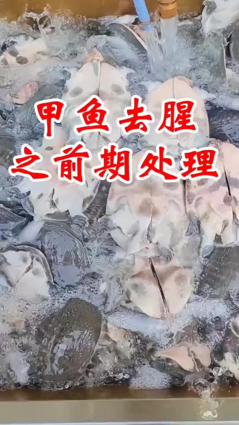 麻辣甲鱼批发，卤甲鱼0.5到一斤规格，量大从优