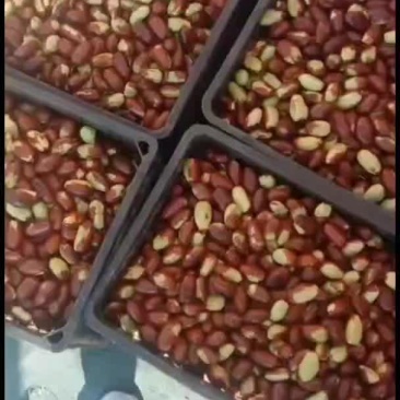 欢迎所有客商前来选择