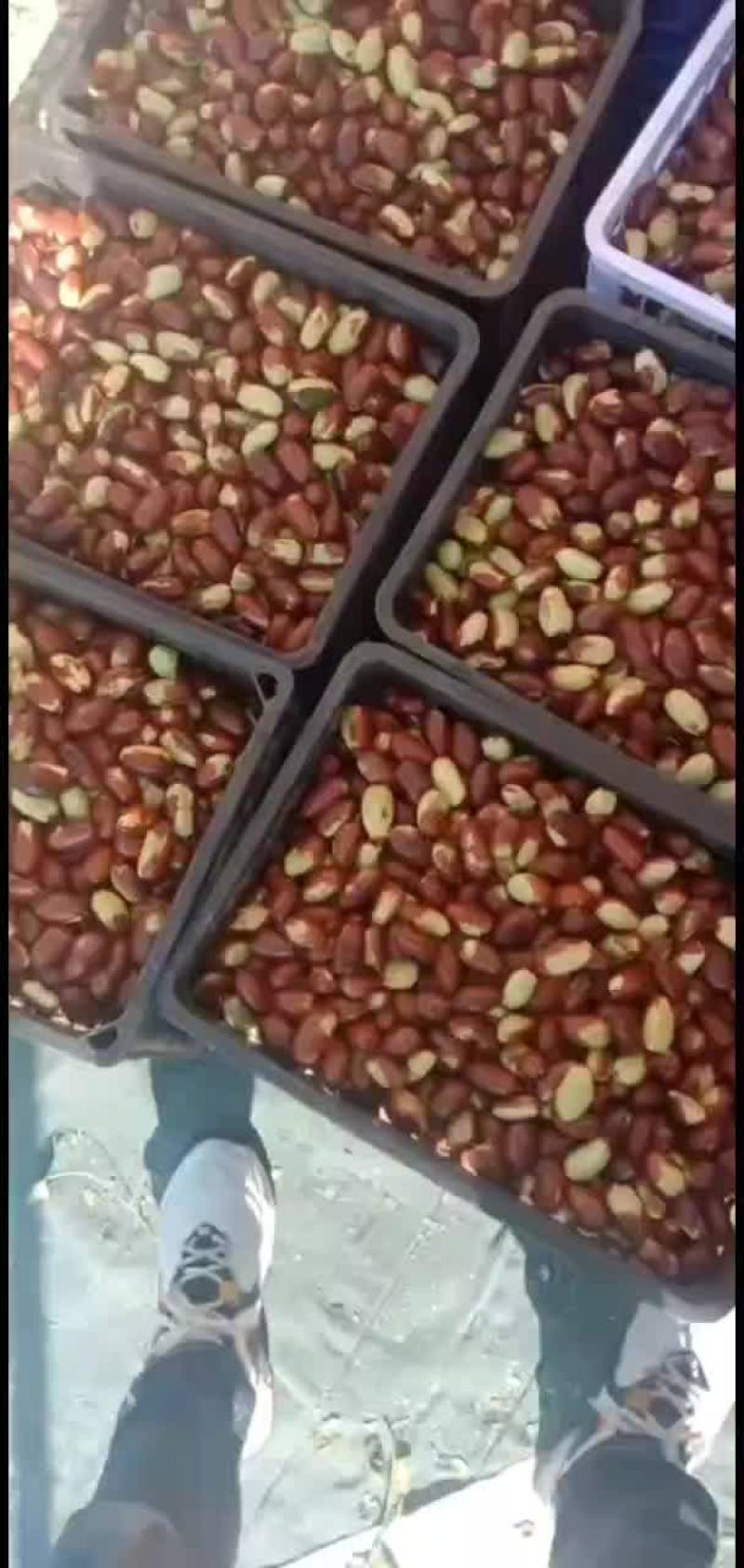 欢迎所有客商前来选择