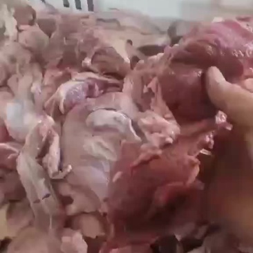 内蒙古牛脖肉