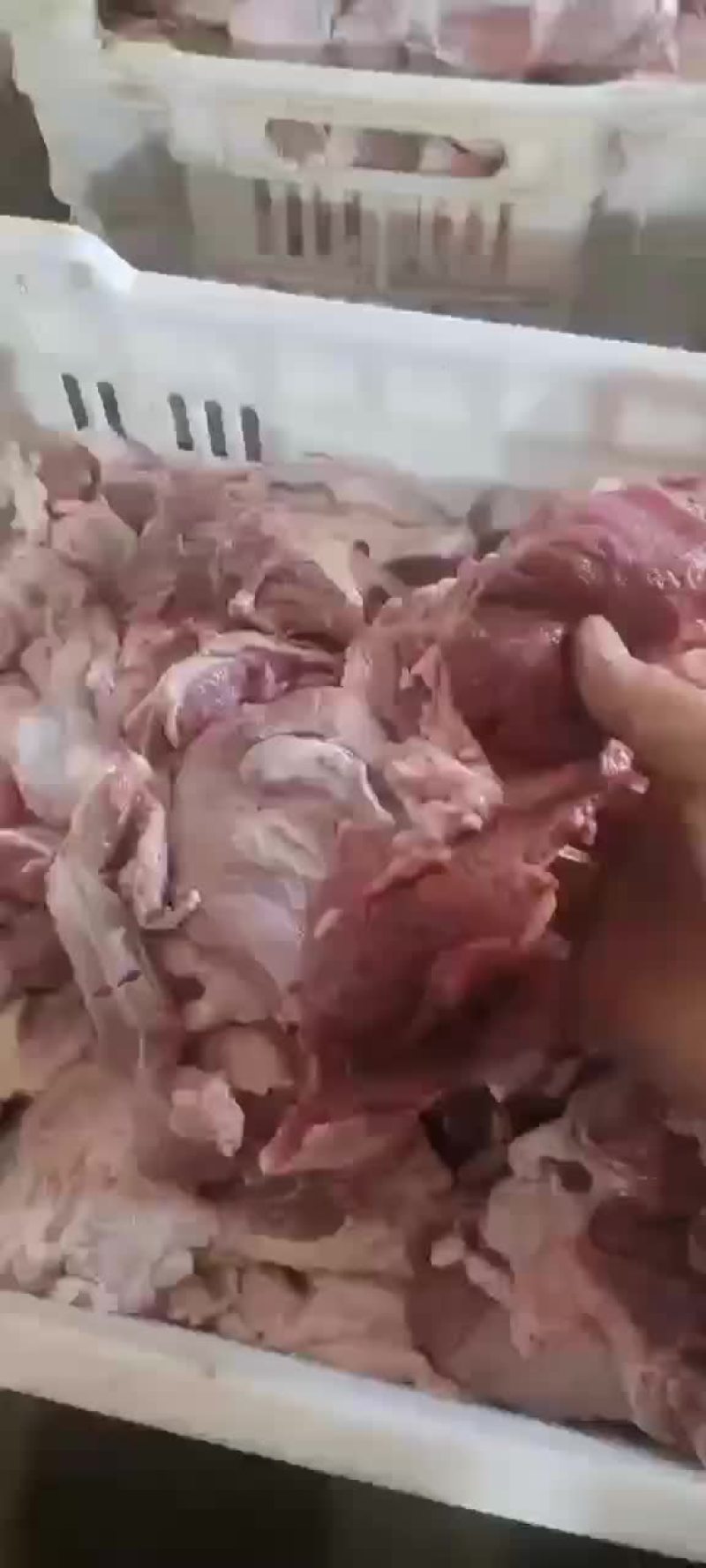 内蒙古牛脖肉