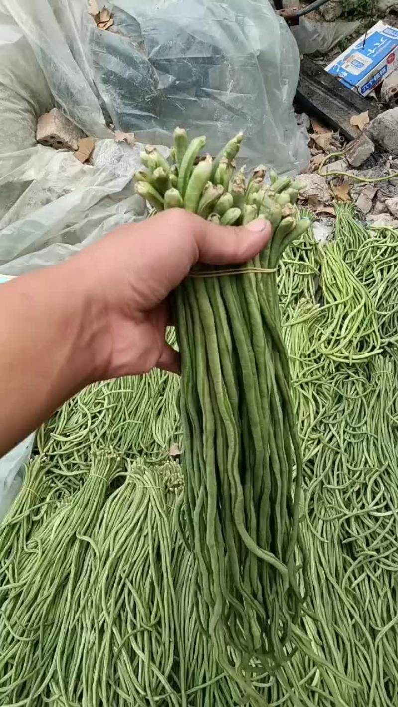 【牛商推荐】干豆角精品干豆角可对接商超批发一手货源量大