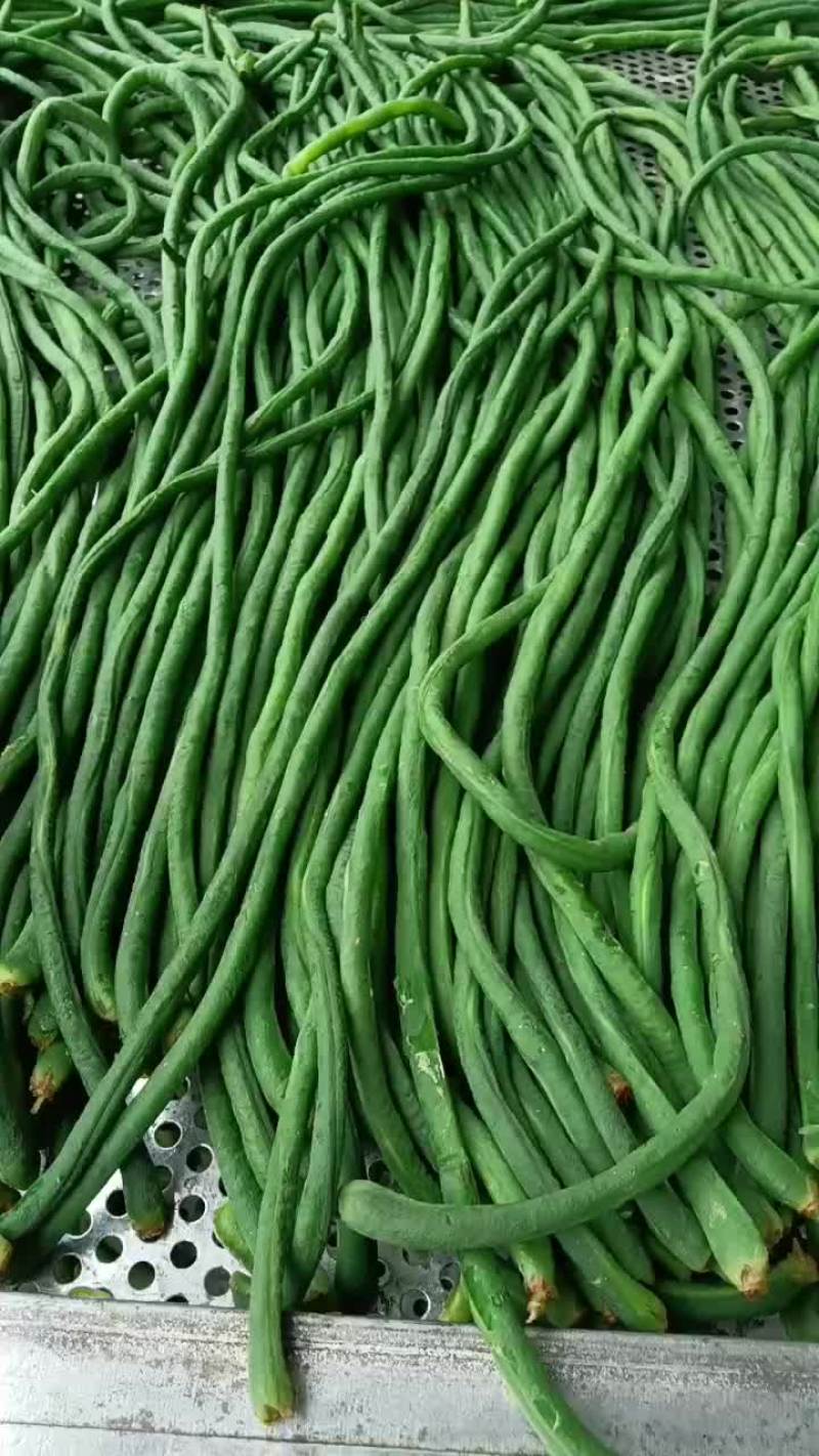 【牛商推荐】干豆角精品干豆角可对接商超批发一手货源量大