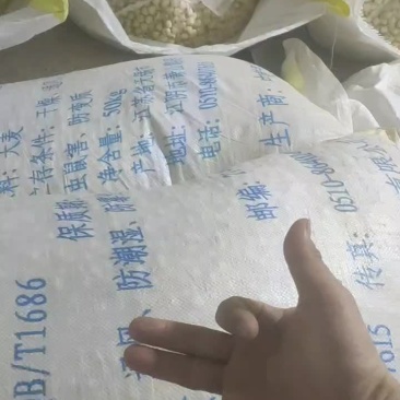 莲子各种规格！30000斤！！全通芯！全干！