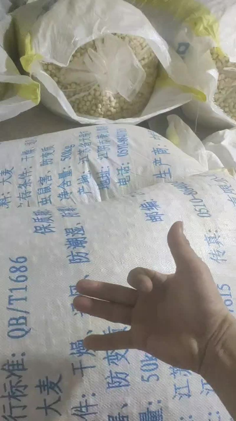 莲子各种规格！30000斤！！全通芯！全干！