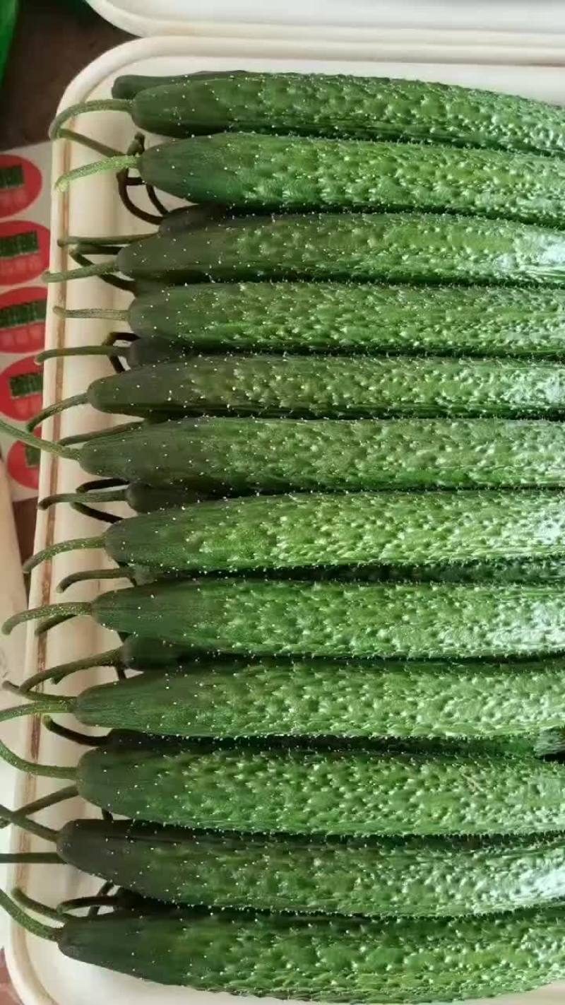 黄瓜