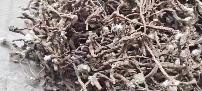 白头翁，茜草，地骨皮
